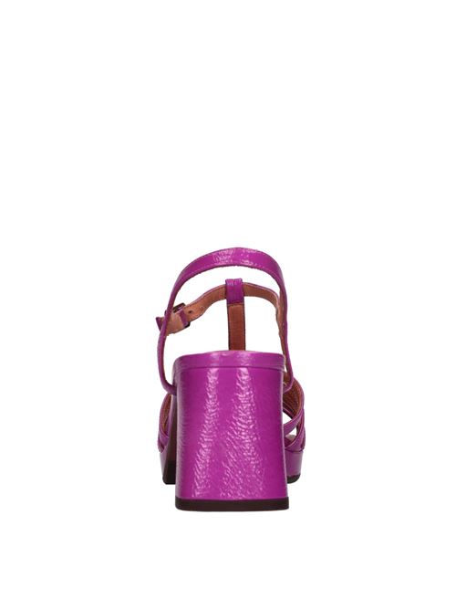  CHIE MIHARA | GENIAL FERRARIVIOLA